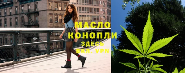 шишки Лагань