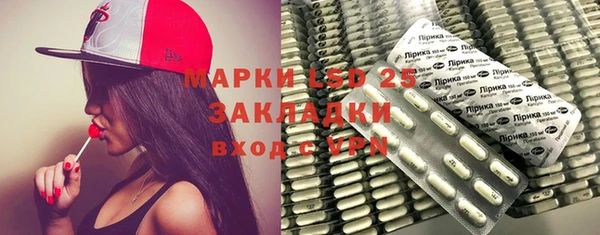 шишки Лагань