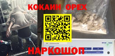 ГАЛЛЮЦИНОГЕННЫЕ ГРИБЫ Заводоуковск