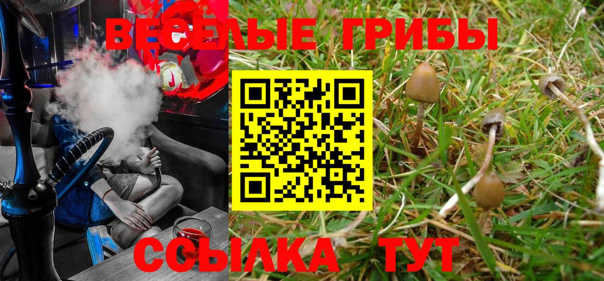 Псилоцибиновые грибы GOLDEN TEACHER  Вход с VPN  Ливны 